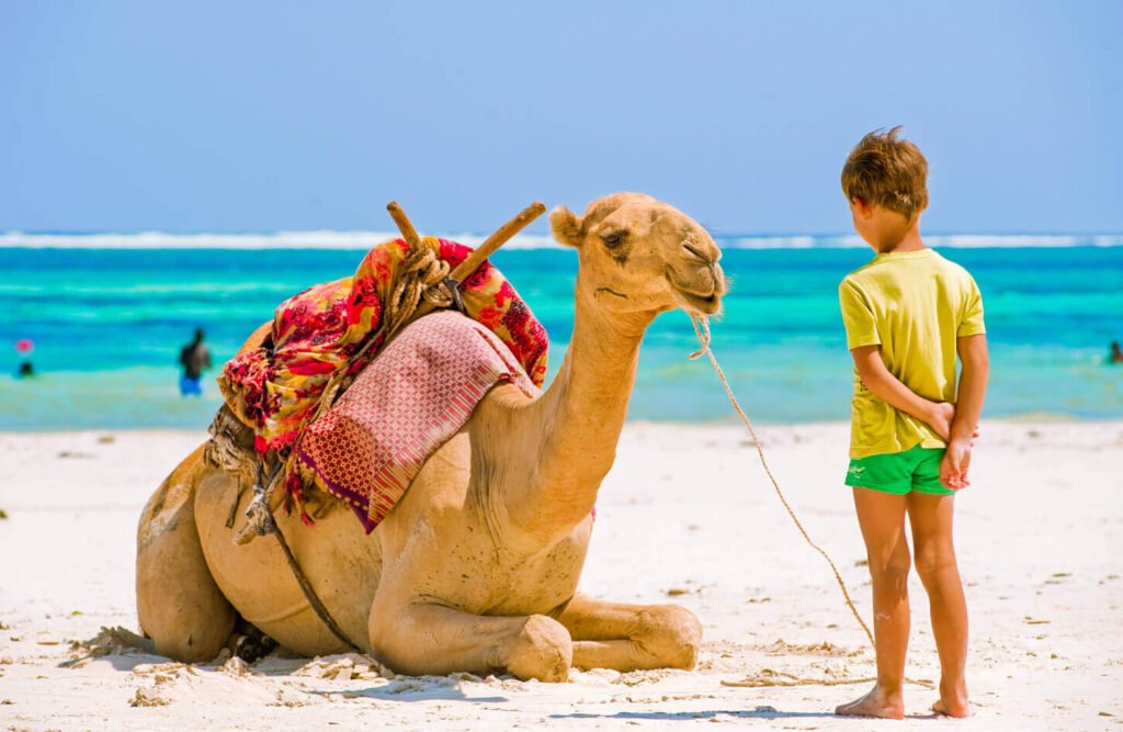 13 Days Cairo, Alexandria, Nile Cruise & Hurghada Tour photo 3
